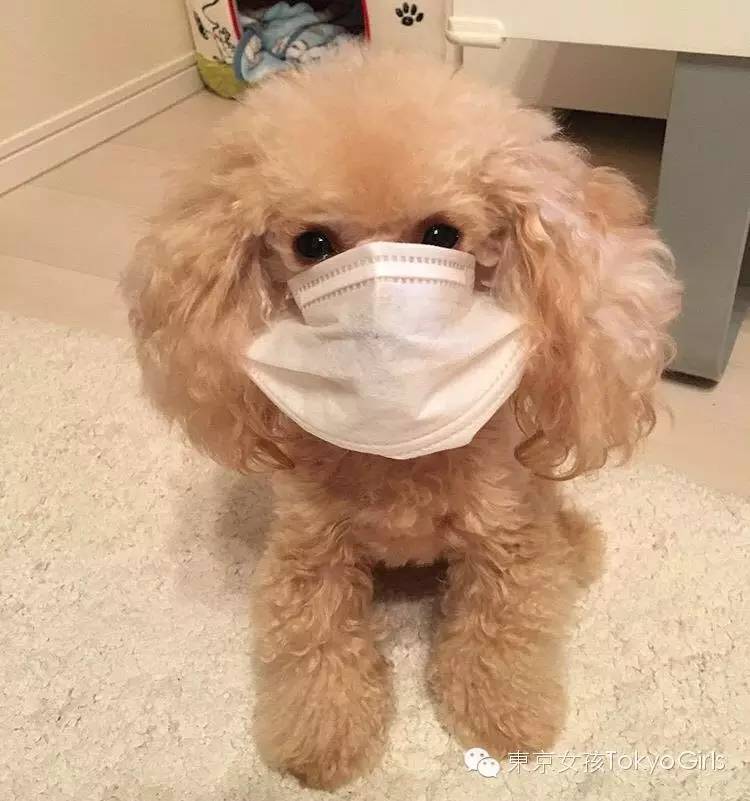 日本女性口罩细节,摘下口罩的日本妹子真容