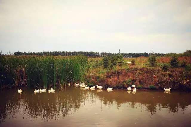 张姝：有一种水叫世罕泉|慧谷会客厅