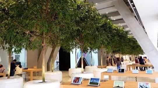 天津苹果直营店第四家,天津苹果直营店哪三家