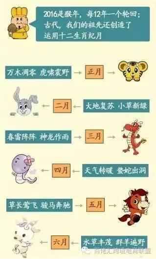 猴年马月，你看天上有很多牛