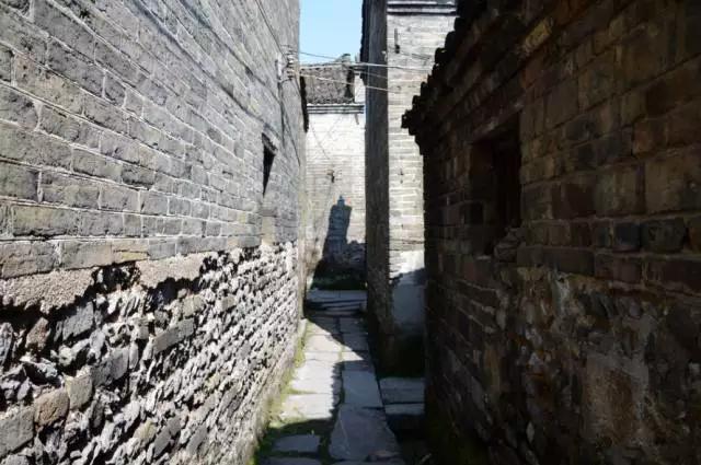 养蚕记绘本故事,养蚕记的经典散文