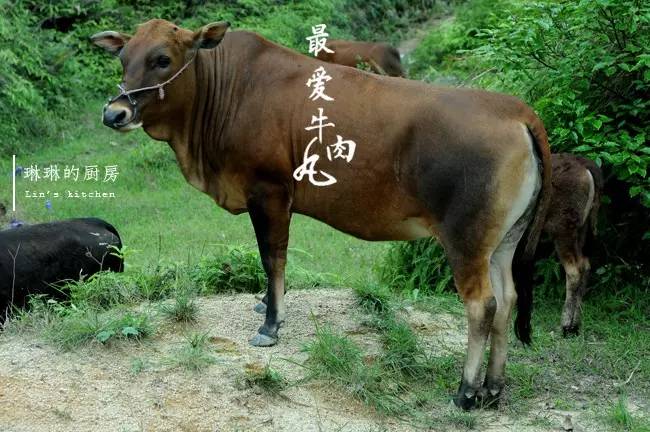 娼睍鎵撹竟鐐夌墰鑲変父鍘傚,娼睍鎵撹竟鐐夌墰鑲変父浠锋牸