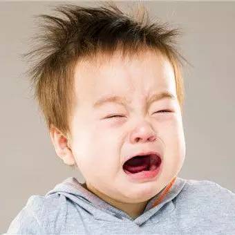 海淘天价蚂蚁｜万一被咬剧烈疼痛，就像赤脚走在火炭上、铁钉扎入脚后跟！