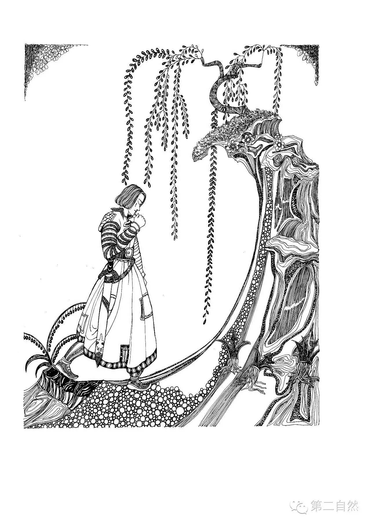 魔法森林经典故事,魔法森林故事视频