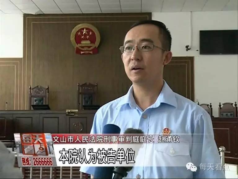 飞龙非法集资诈骗案,新乡市飞龙集团集资案如何宣判