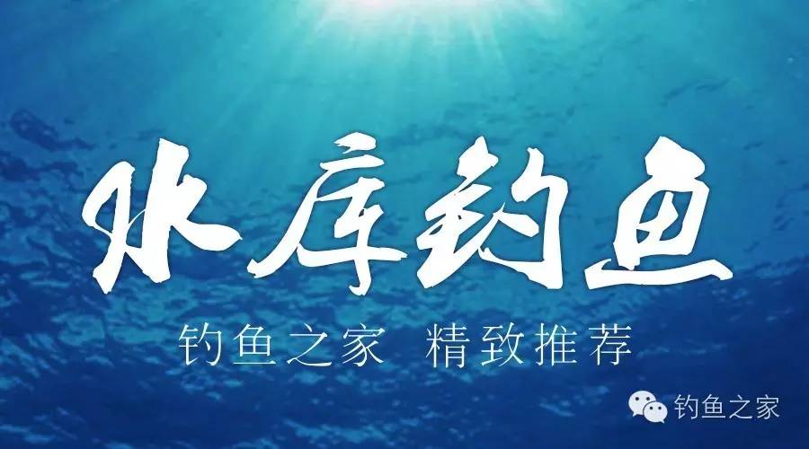 水库传统钓钓鱼技巧,钓水库鱼的技巧和方法