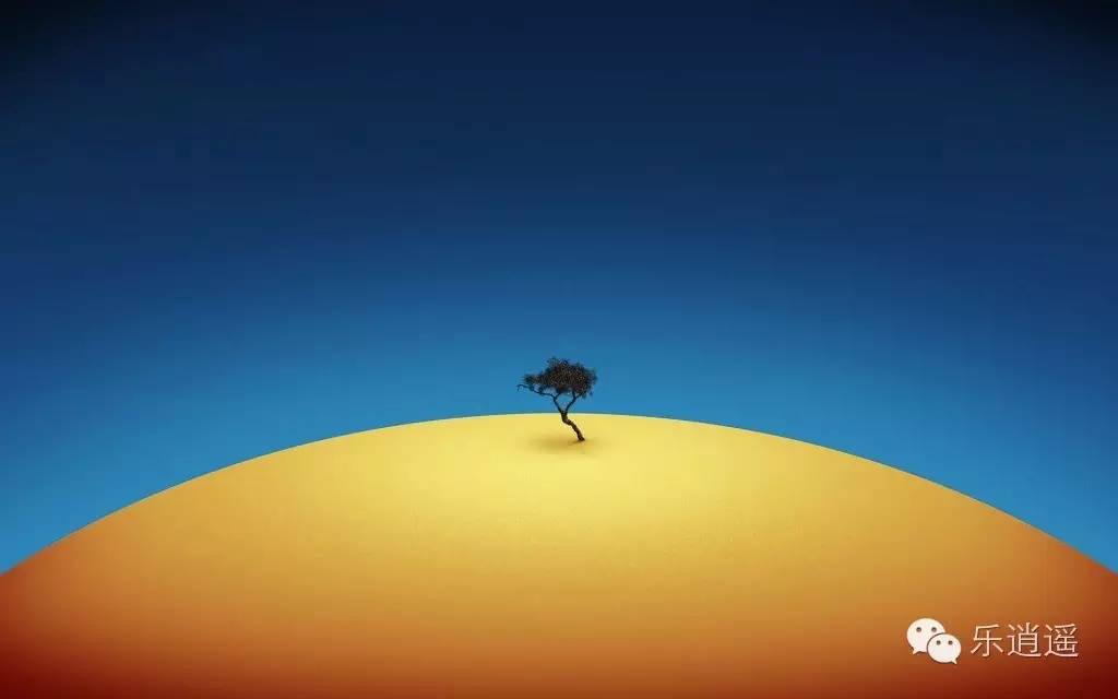 丰宁坝上植树,我去植树