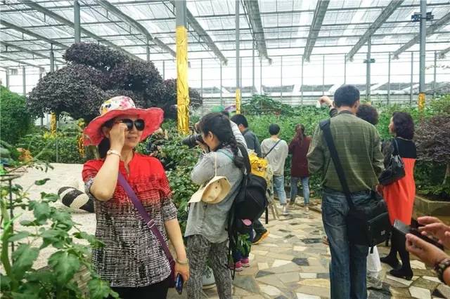 横溪西祠村宴，吃出最地道的横溪味，什么是横溪味？点开就知道了！