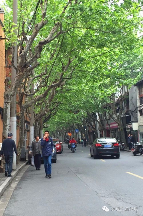 上海永不拓宽的马路列表,上海永不拓宽的风貌路