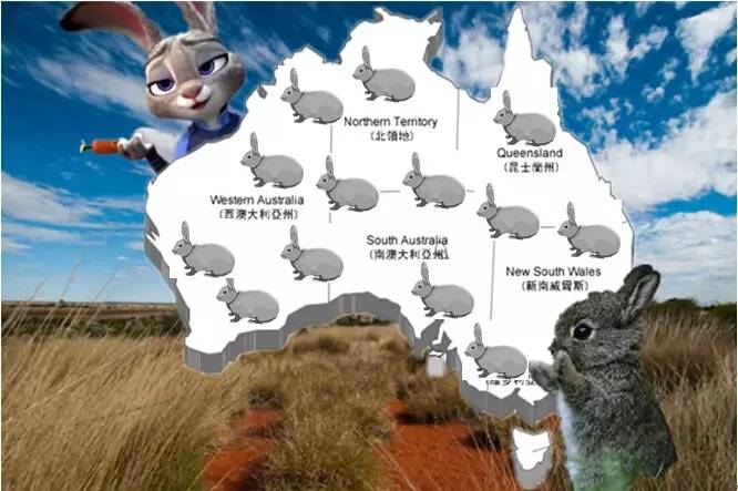 海淘天价蚂蚁｜万一被咬剧烈疼痛，就像赤脚走在火炭上、铁钉扎入脚后跟！