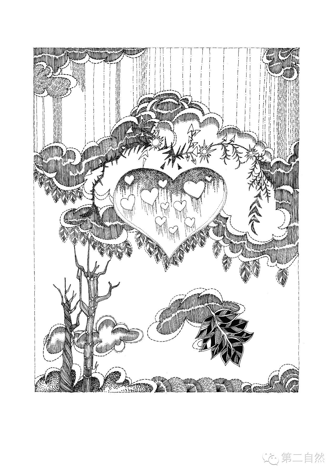 魔法森林经典故事,魔法森林故事视频