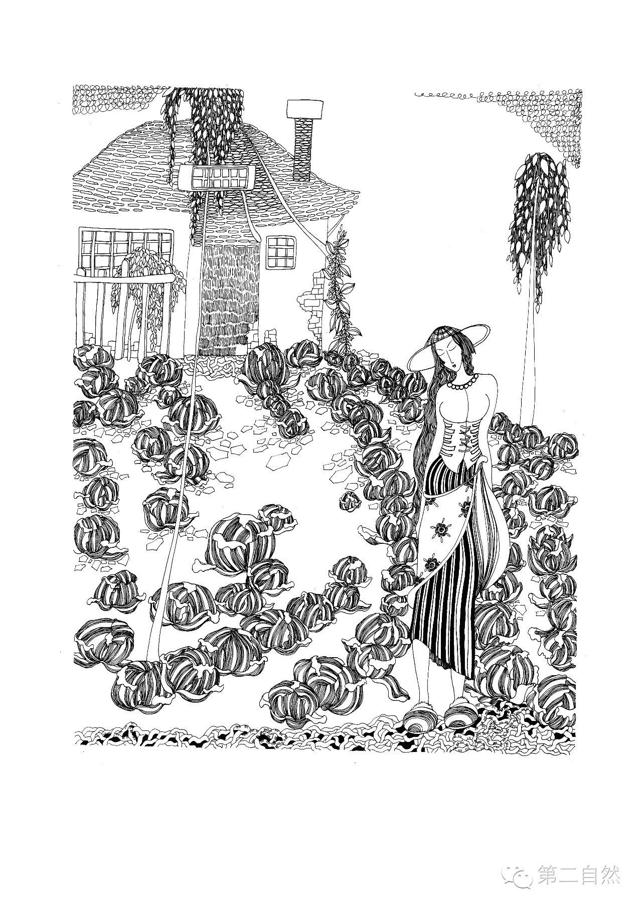 魔法森林经典故事,魔法森林故事视频