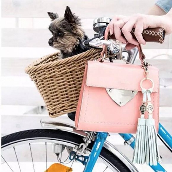 女士钱包推荐小众高级感,既洋气又时尚的钱包