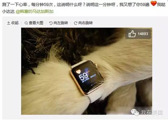 王思聪自曝女友为其堕胎又火了，但外媒只关心老公最宠的那个网红