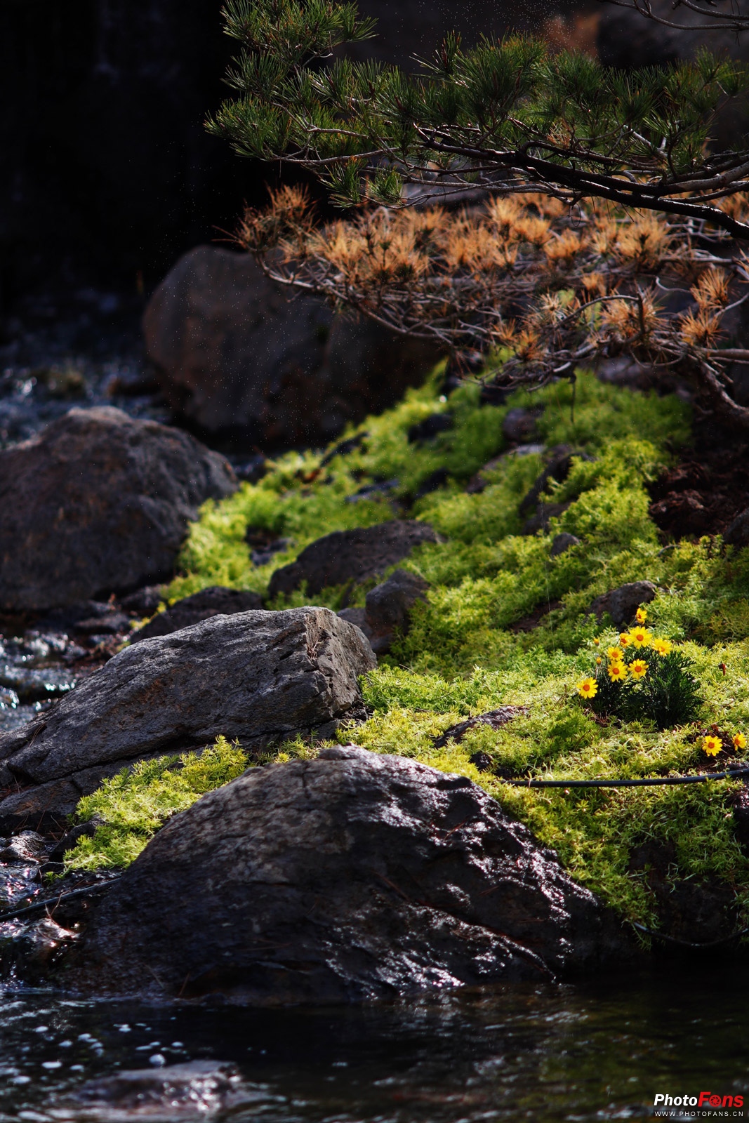 佳能eosm50markii微单开箱,记录生活的便捷相机