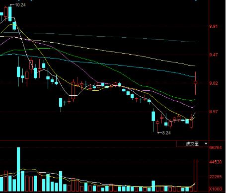 深圳直播崔总,崔总直播创业
