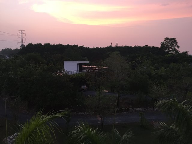 甯︾潃鐗涢瓟鐜嬬湅鏄熸槦,甯︾潃鐗涢瓟鐜嬪嚭鏉ョ湅涓婂笣