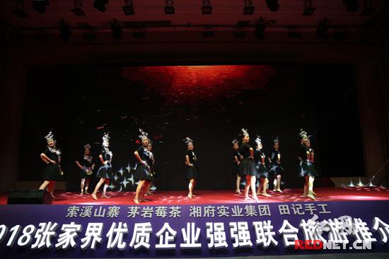 张家界推介10大文旅产业重点项目,张家界旅游项目推介新闻发布会