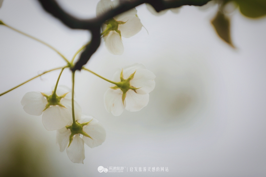 閭d釜杩滄柟鐨勪綘,閭d釜杩滄柟鏄皝鍞辩殑