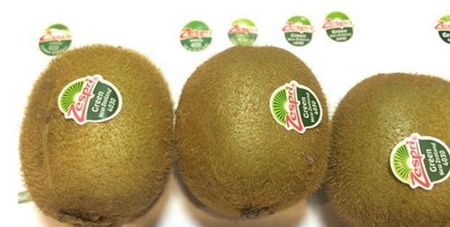 奇异果是不是正品,奇异果骗人的么