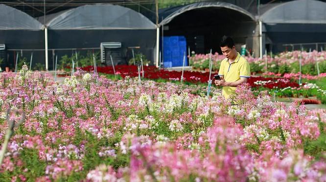 外出踏青正当时,帽峰山森林公园踏青