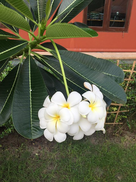 甯︾潃鐗涢瓟鐜嬬湅鏄熸槦,甯︾潃鐗涢瓟鐜嬪嚭鏉ョ湅涓婂笣