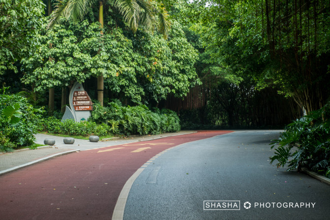 轻妆出行心仪广西，玩转神秘的桂西南