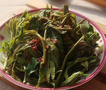 教你怎样做一道美味可口的香椿,适合香椿做的家常菜