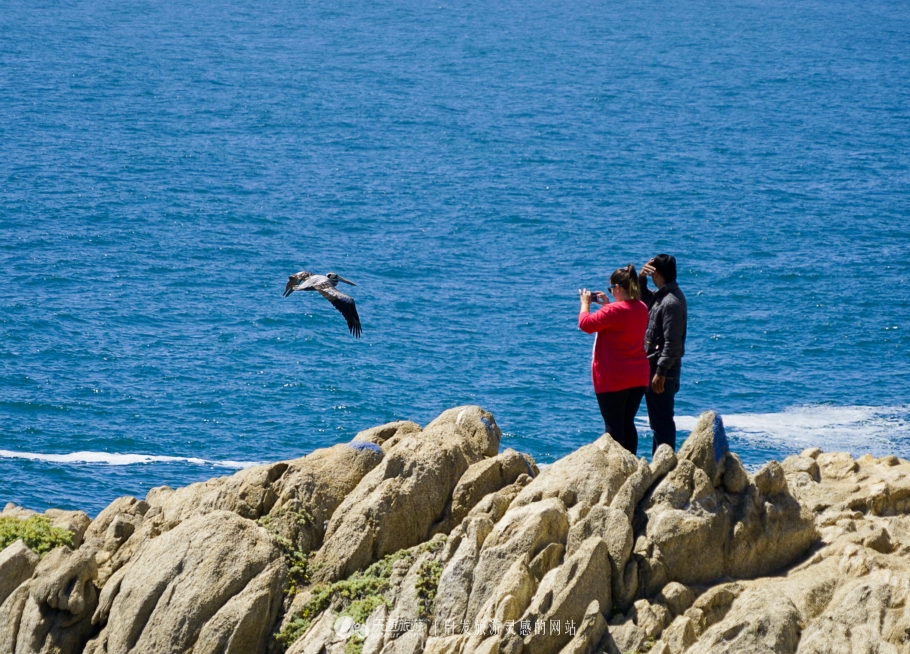 欧洲有亚洲人血统的国家,一个民族为混血种人的国家