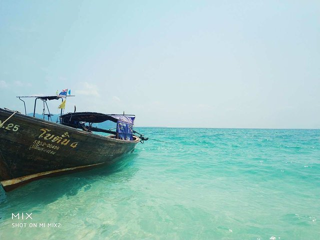 甯︾潃鐗涢瓟鐜嬬湅鏄熸槦,甯︾潃鐗涢瓟鐜嬪嚭鏉ョ湅涓婂笣