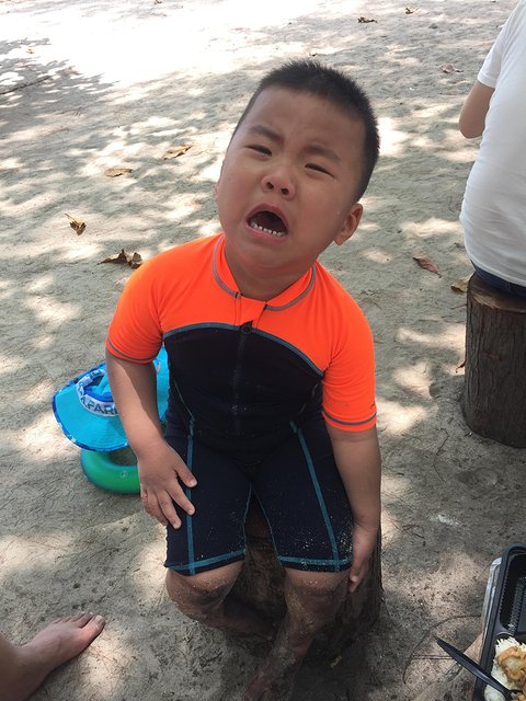 甯︾潃鐗涢瓟鐜嬬湅鏄熸槦,甯︾潃鐗涢瓟鐜嬪嚭鏉ョ湅涓婂笣