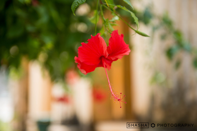 轻妆出行心仪广西，玩转神秘的桂西南