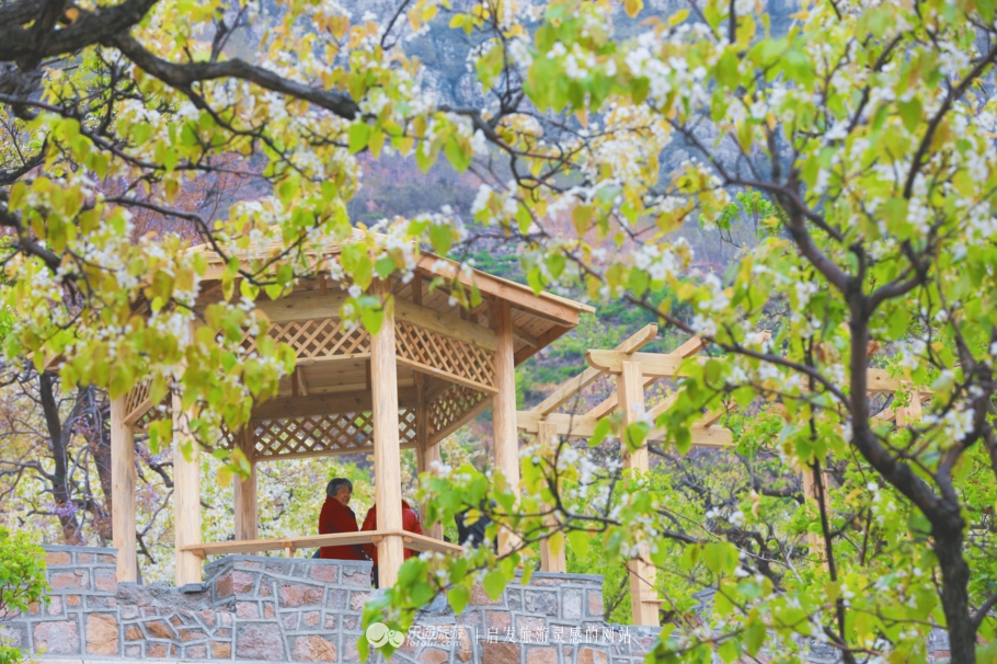 閭d釜杩滄柟鐨勪綘,閭d釜杩滄柟鏄皝鍞辩殑