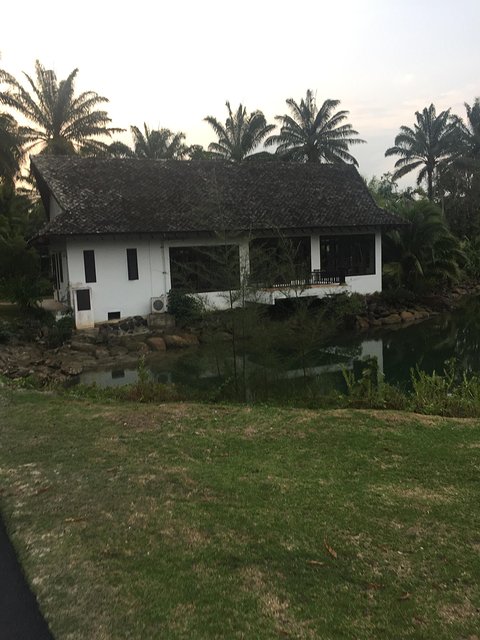 甯︾潃鐗涢瓟鐜嬬湅鏄熸槦,甯︾潃鐗涢瓟鐜嬪嚭鏉ョ湅涓婂笣