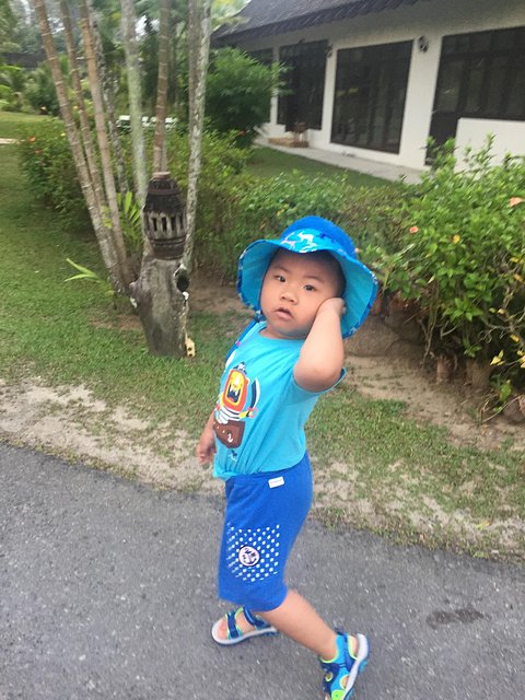 甯︾潃鐗涢瓟鐜嬬湅鏄熸槦,甯︾潃鐗涢瓟鐜嬪嚭鏉ョ湅涓婂笣