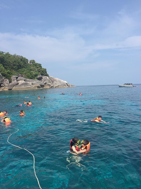 甯︾潃鐗涢瓟鐜嬬湅鏄熸槦,甯︾潃鐗涢瓟鐜嬪嚭鏉ョ湅涓婂笣