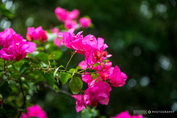 轻妆出行心仪广西，玩转神秘的桂西南
