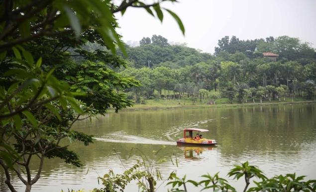 外出踏青正当时,帽峰山森林公园踏青