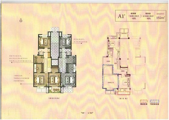 关颖三个孩子,关颖宣布怀三胎