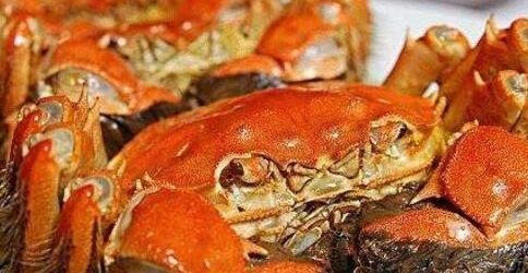 新鲜的大闸蟹要怎么保存保鲜,大闸蟹怎么储存才能保鲜