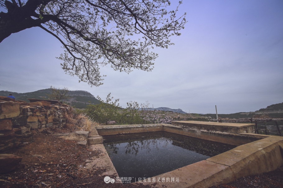 閭d釜杩滄柟鐨勪綘,閭d釜杩滄柟鏄皝鍞辩殑