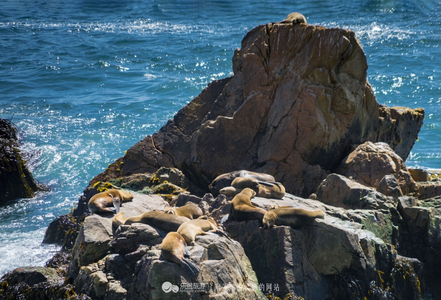 欧洲有亚洲人血统的国家,一个民族为混血种人的国家