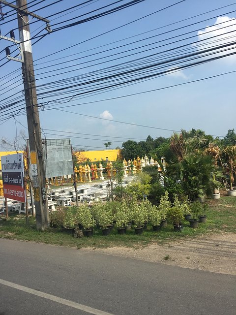 甯︾潃鐗涢瓟鐜嬬湅鏄熸槦,甯︾潃鐗涢瓟鐜嬪嚭鏉ョ湅涓婂笣