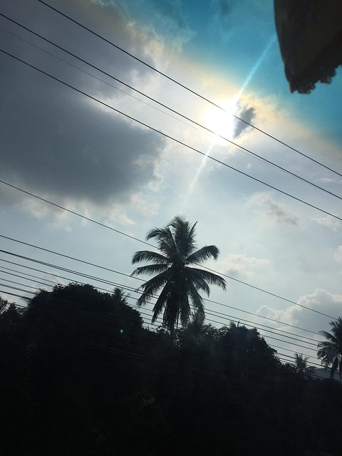 甯︾潃鐗涢瓟鐜嬬湅鏄熸槦,甯︾潃鐗涢瓟鐜嬪嚭鏉ョ湅涓婂笣