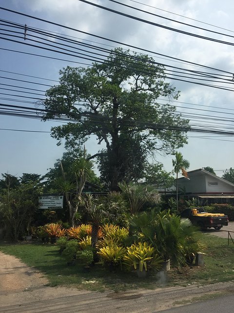 甯︾潃鐗涢瓟鐜嬬湅鏄熸槦,甯︾潃鐗涢瓟鐜嬪嚭鏉ョ湅涓婂笣