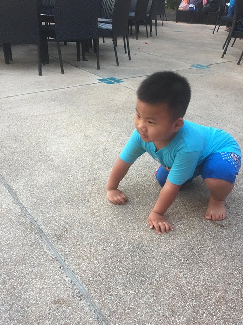 甯︾潃鐗涢瓟鐜嬬湅鏄熸槦,甯︾潃鐗涢瓟鐜嬪嚭鏉ョ湅涓婂笣