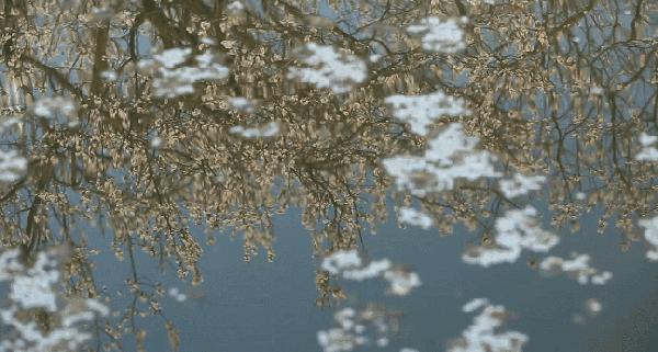 新手骑车装备篇,骑行装备汇总清单