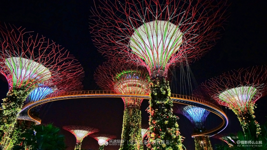 点亮圣诞树风景视频,点亮梧桐树视频