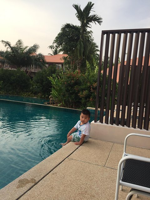 甯︾潃鐗涢瓟鐜嬬湅鏄熸槦,甯︾潃鐗涢瓟鐜嬪嚭鏉ョ湅涓婂笣