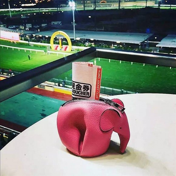 女士钱包推荐小众高级感,既洋气又时尚的钱包